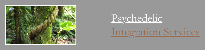 Aaron Strong Psychedelic Integration Services